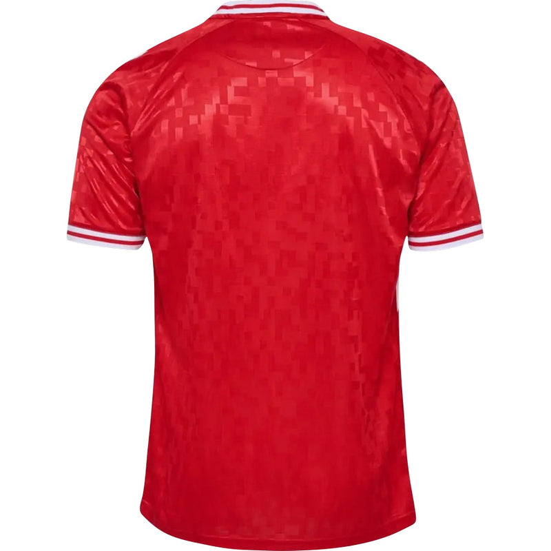 Camiseta Dinamarca 24/25 I (Home) - Hombre