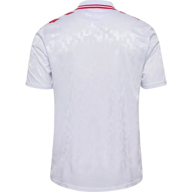 Camiseta Dinamarca 24/25 II (Away) - Hombre